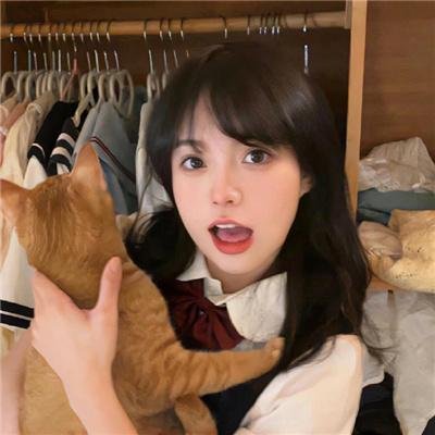 肥猪